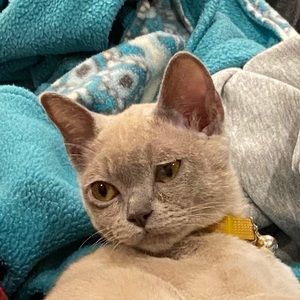 Meet your Posher, Ely